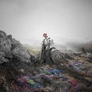 女教师被内谢怀孕了
